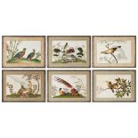 A set of six Chinese 'birds and flowers' pith paper paintings, 19th century, depicting various