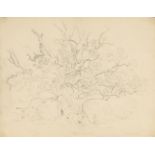 Francis Nicholson, OWS, British 1753-1844- Album of drawings; 79 drawings with indices, including