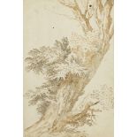 Northern European School, 17th century- Study of a tree; pen and brown and black ink on laid