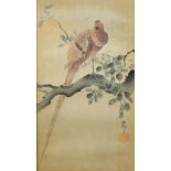After Ohara Koson, Japanese, 1877-1945, a watercolour painting of a copper pheasant perching on a