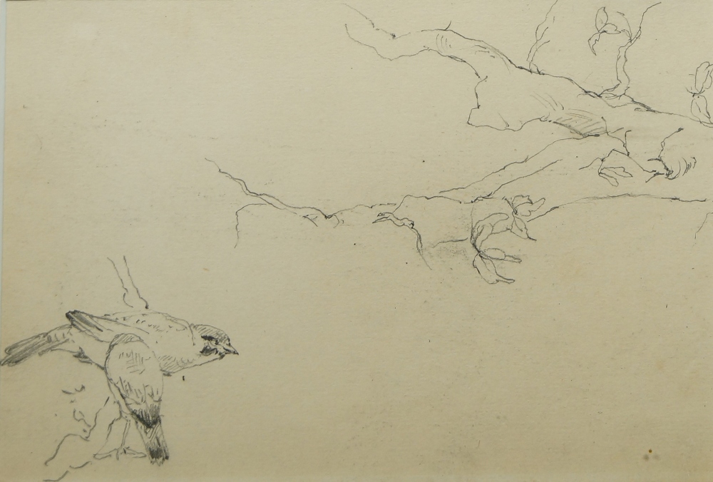Harry Bush, ROI, British 1883-1957- London Ash; grey and coloured pencil on paper, signed with - Image 5 of 11