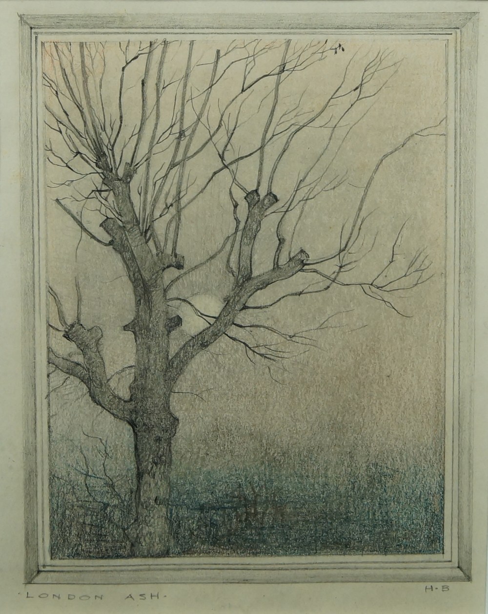 Harry Bush, ROI, British 1883-1957- London Ash; grey and coloured pencil on paper, signed with