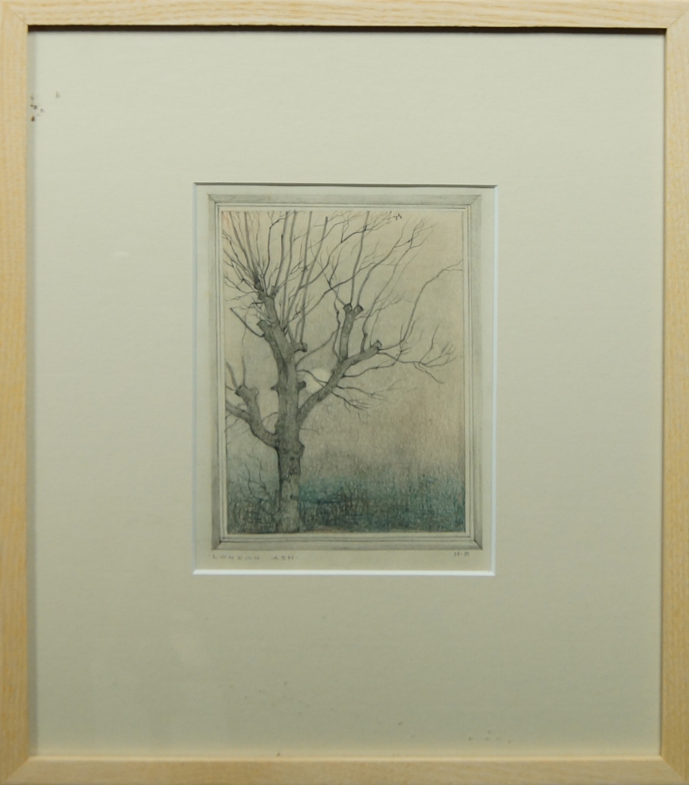 Harry Bush, ROI, British 1883-1957- London Ash; grey and coloured pencil on paper, signed with - Image 4 of 11