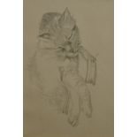 Harry Bush, ROI, British 1883-1957- Studies of female nudes; and Studies of cats; pencil on paper,