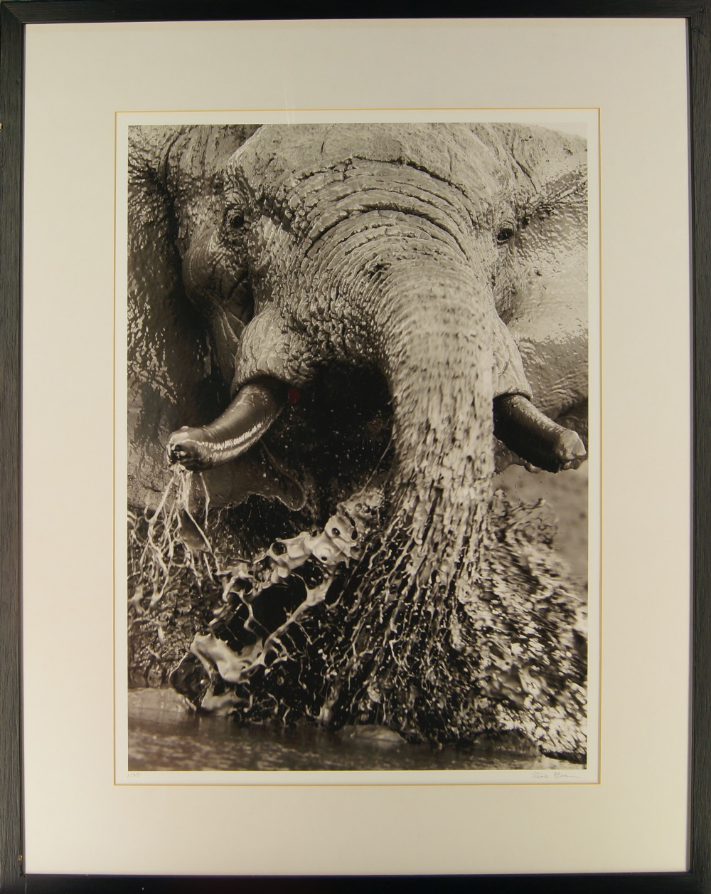 Steve Bloom, South African b.1953- Elephant Splashing, Savuti, Botswana, 2005; archival pigment - Image 2 of 2