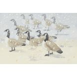 Noel William Cusa, British 1909-1990- Canada Geese; gouache and pencil on paper, signed lower