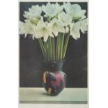 Nigel Waymouth, British b.1941- Lillies; offset lithographs, two, each signed and numbered 54/500 in