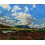 British School, late 20th/early 21st century- Muckish from Glenveigh National Park; oil on canvas,