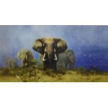 DAVID SHEPHERD, Storm over Africa, silkscreen limited edition, numbered 36/350,