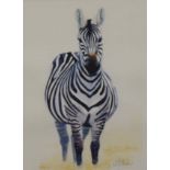 Pregnant Zebra - Lady in Waiting, limited edition print, numbered 6/300, signed, framed and glazed.