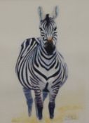 Pregnant Zebra - Lady in Waiting, limited edition print, numbered 6/300, signed, framed and glazed.