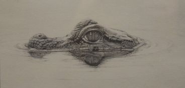 GARY HODGES, Young Caiman, limited edition print, numbered 623/800, signed, framed and glazed.