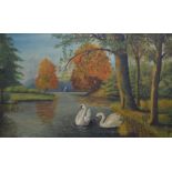 Swans on a River, oil on canvas, framed. 68 x 42.5 cm.