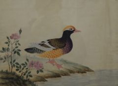 Mandarin Duck on Bank with Peonies and Tawny Eagle on Rock, two 19th century watercolours,