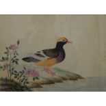 Mandarin Duck on Bank with Peonies and Tawny Eagle on Rock, two 19th century watercolours,