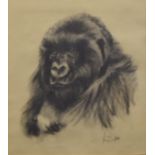 An original charcoal drawing, Gorilla, indistinctly signed and dated 3/98, framed and glazed.