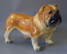A life size model of a bulldog. 47 cm high.
