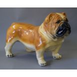 A life size model of a bulldog. 47 cm high.