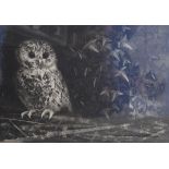 JACK CONTU, Owl and Ivy, limited edition print, numbered 40/50, signed and dated 1960,