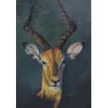 STUART MALLARD, Gazelle, limited edition print, numbered 6/500, signed,