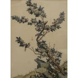 LOUIS DE CHASTILLON (1639-1734) French, Chinese Hawthorn, coloured etching, framed and glazed. 28.