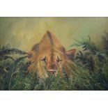 K JONS, Lion, oil on board, signed and dated 2001, framed. 72 x 49.5 cm.