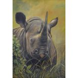 K JONS, Rhino, oil on board, signed, framed. 49.5 x 72 cm.