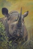 K JONS, Rhino, oil on board, signed, framed. 49.5 x 72 cm.