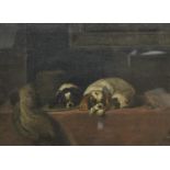 V B STEMP, Two King Charles Spaniels, oil on canvas, dated 2/24, framed and glazed. 39.5 x 29 cm.