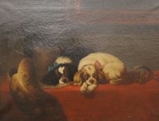 19TH CENTURY SCHOOL, Spaniel Puppies, oil on canvas, framed. 91 x 69.5 cm.