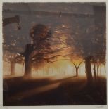 JOHN WATERHOUSE, A Walk Through the Park, limited edition print, numbered 295/395,