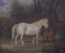 MARTIN THEODORE WARD (1799-1874), Mare and a Foal in a Landscape, oil on panel, framed. 20 x 16.