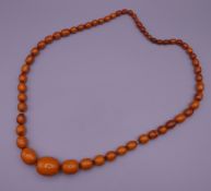 An amber bead necklace. 81 cm long.