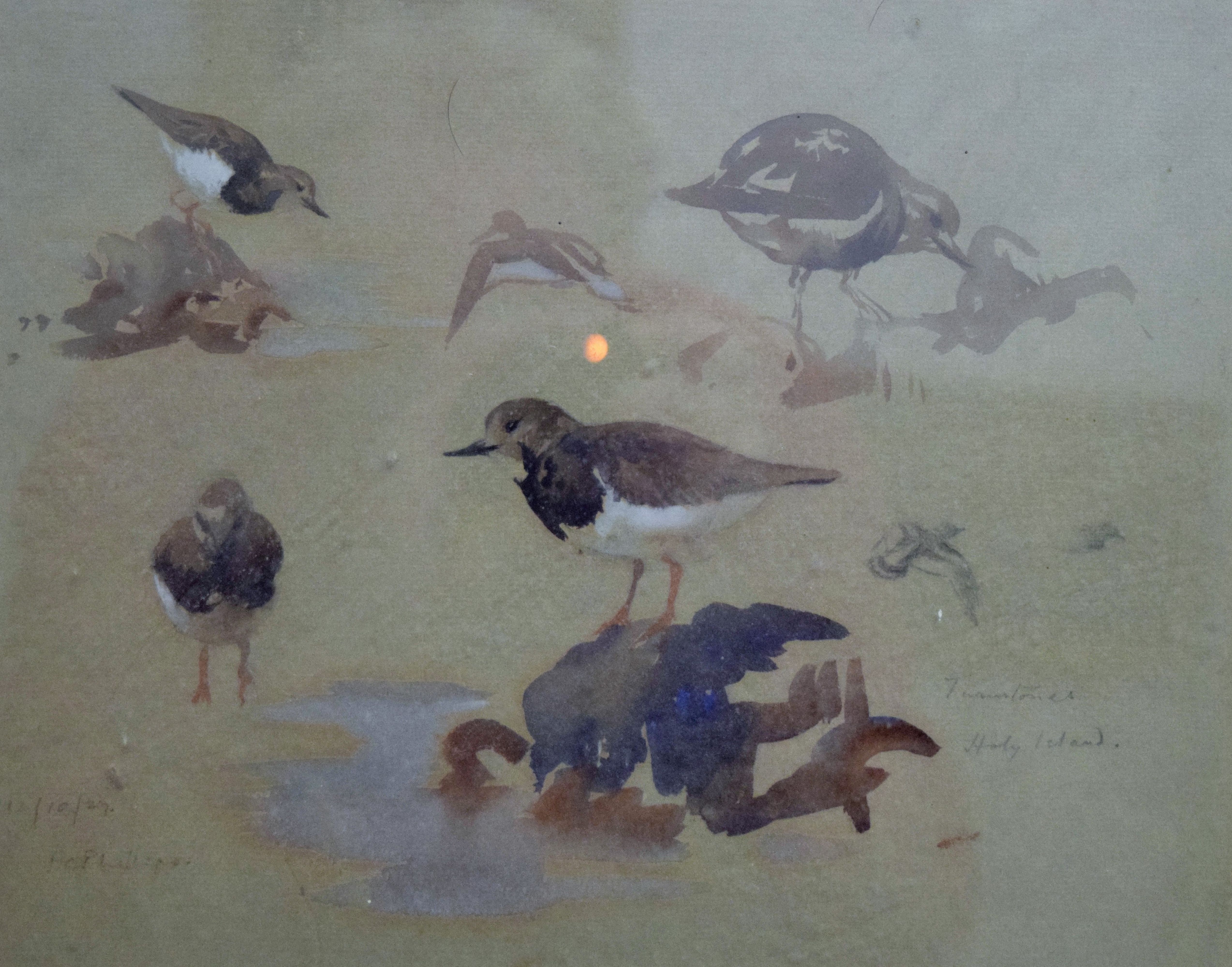 PATRICK PHILLIPS, Turnstones Holy Island 1927, watercolour, signed, dated and inscribed in pencil,