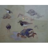 PATRICK PHILLIPS, Turnstones Holy Island 1927, watercolour, signed, dated and inscribed in pencil,