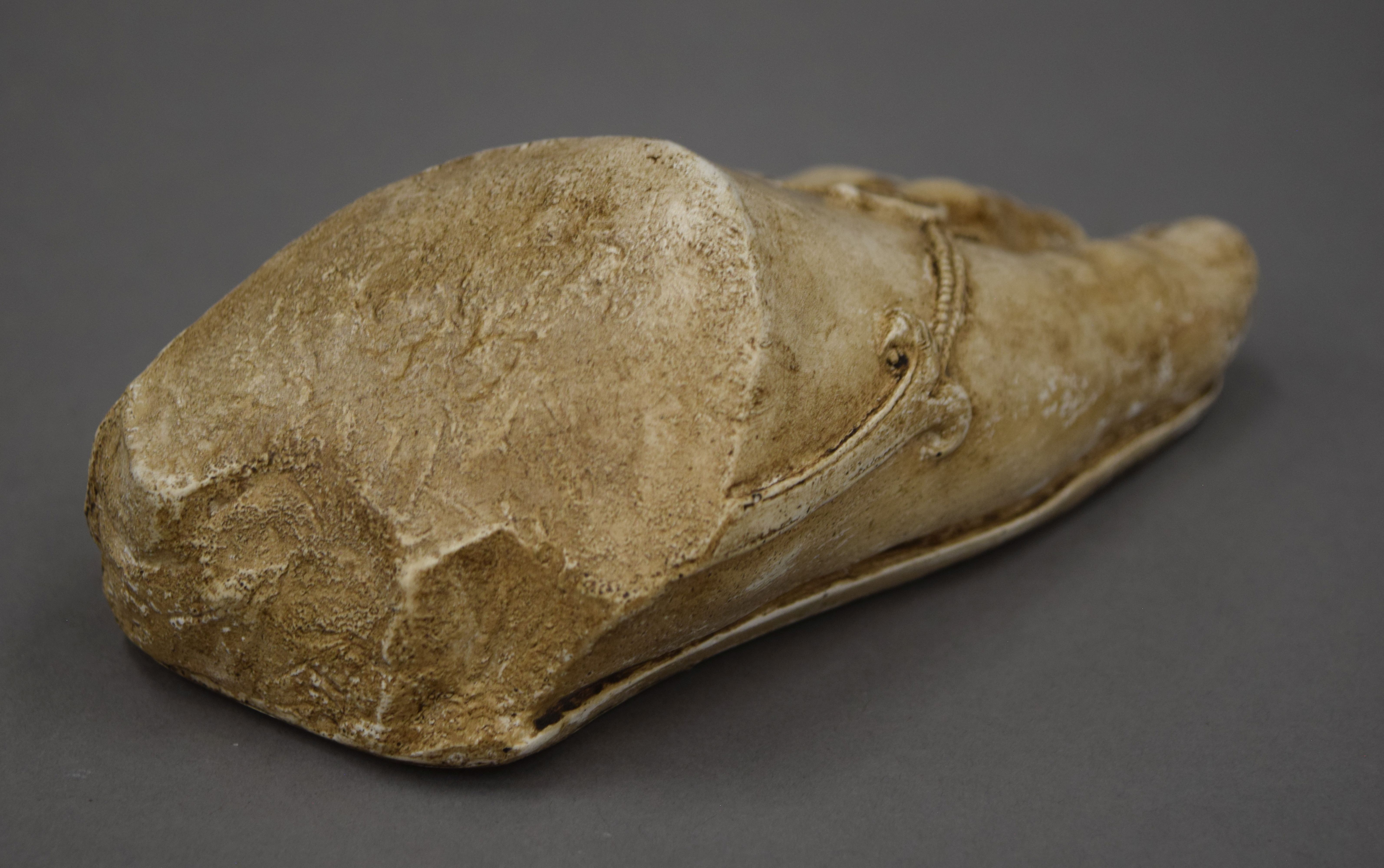 A plaster model of a foot. 16 cm long. - Image 4 of 5