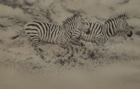 WILLIAM BAKER, Zebra, limited edition print, numbered 925/1750, signed, framed and glazed.