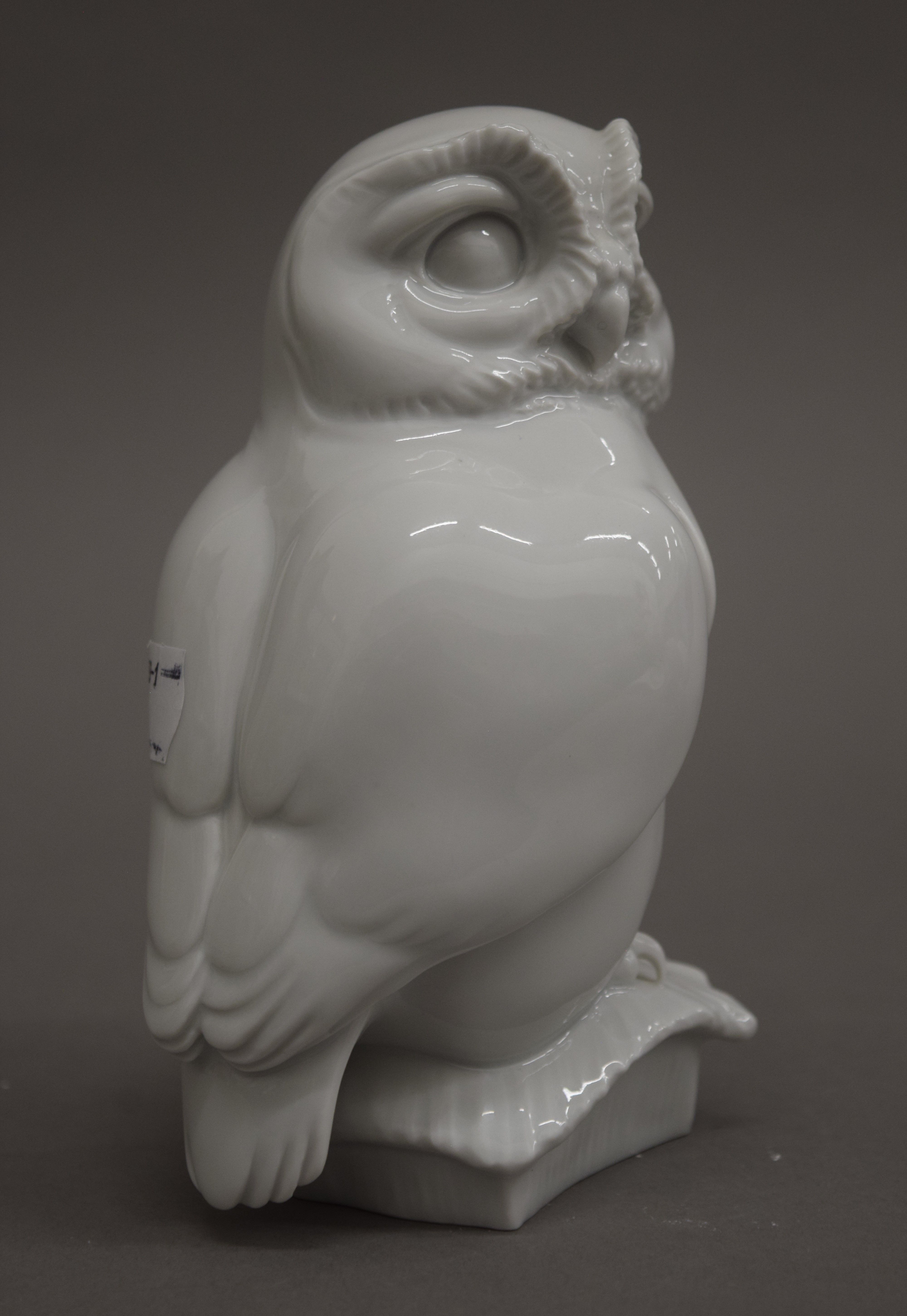Two Meissen blanc de chine models of owls. The largest 15 cm high. - Image 3 of 6