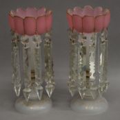 A pair of Victorian pink and clear glass lustres with gilt decoration. 31 cm high.