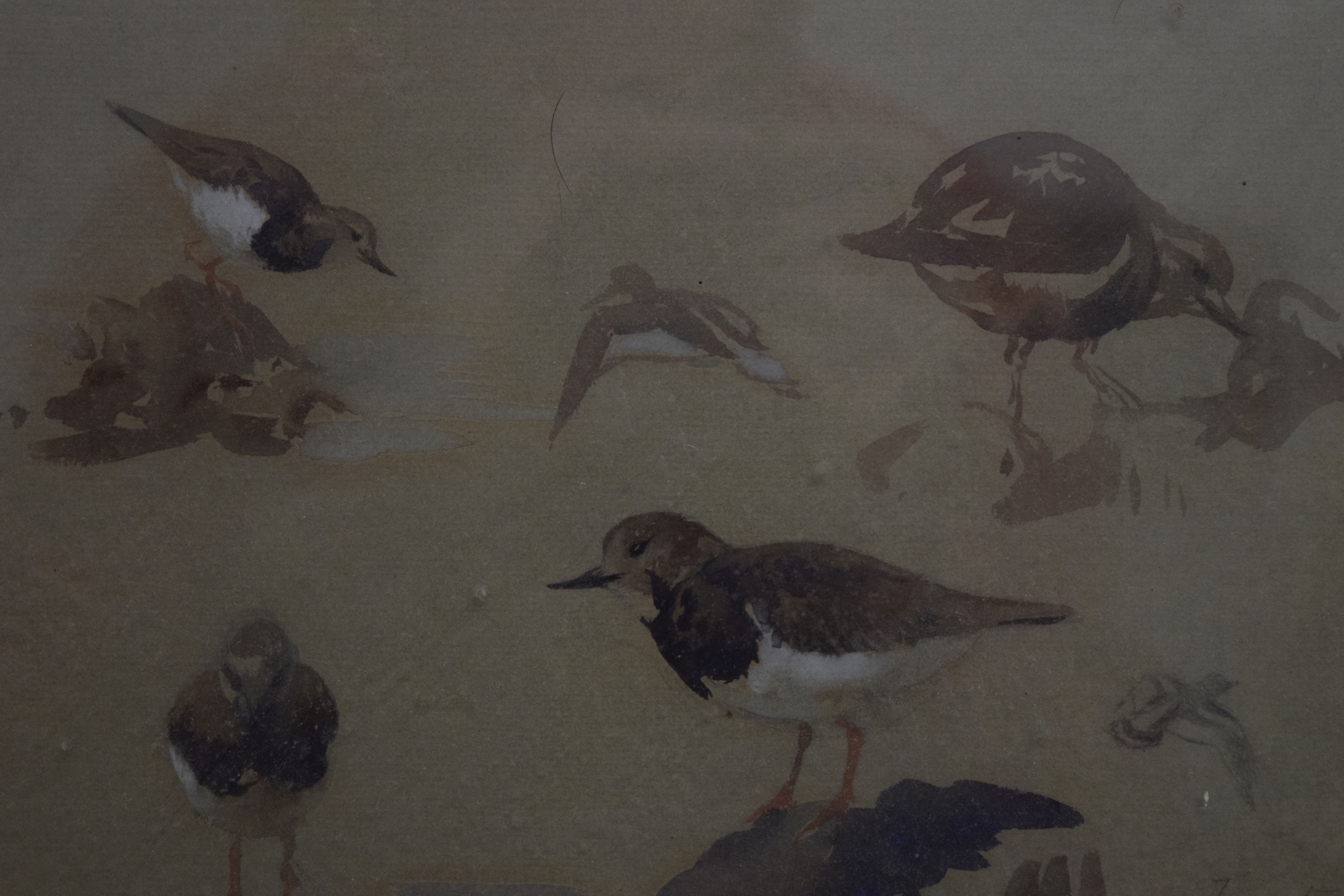 PATRICK PHILLIPS, Turnstones Holy Island 1927, watercolour, signed, dated and inscribed in pencil, - Image 3 of 6