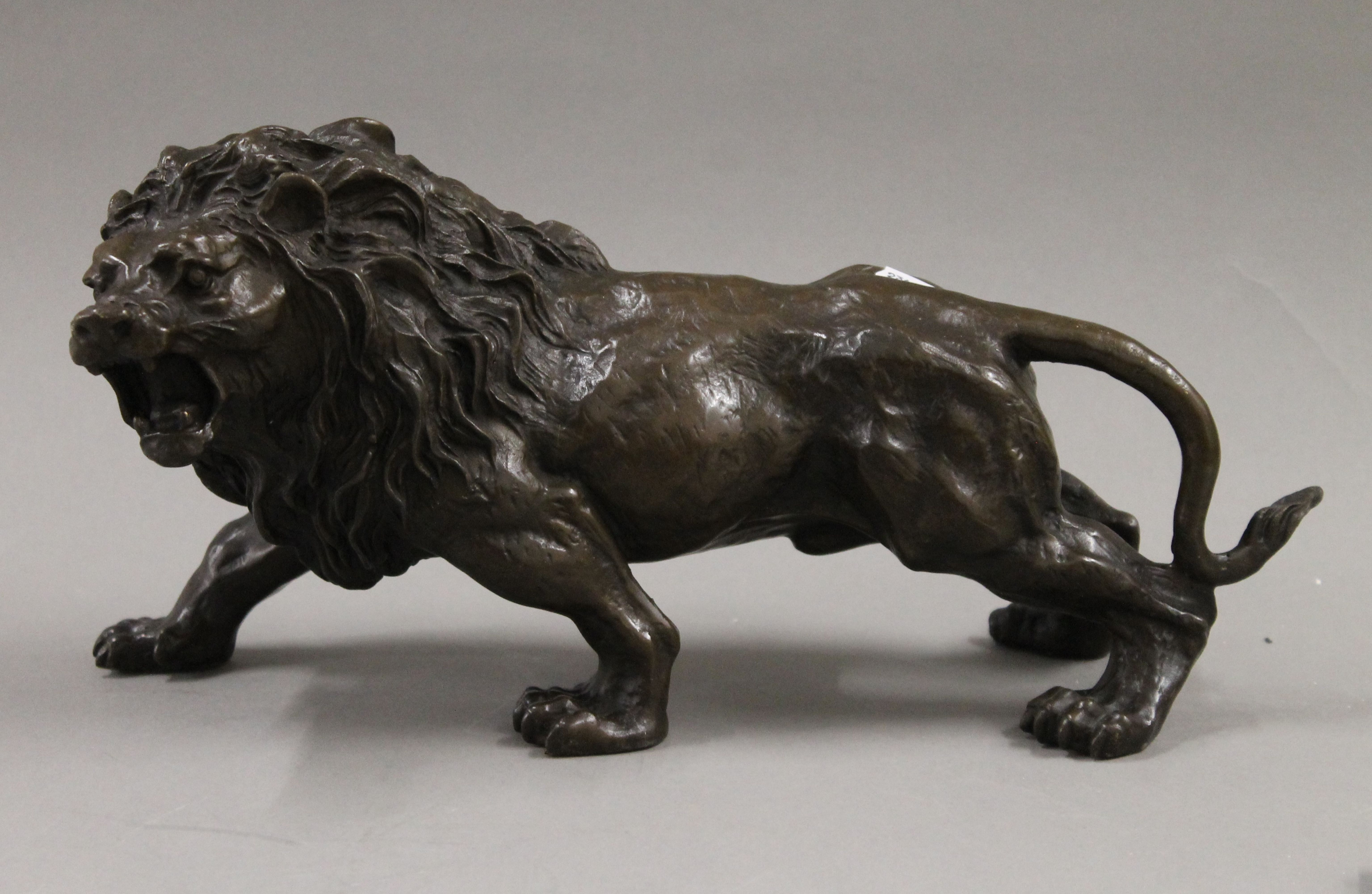 A bronze model of a lion. 32 cm long.