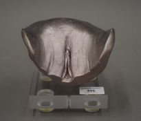 A female anatomical sculpture on a display stand. 14 cm wide.
