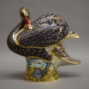 A large Royal Crown Derby limited edition black swan paperweight with gold mark. 23 cm high.