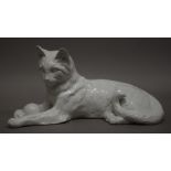 A Continental blanc de chine model of a cat. 31 cm long.