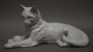 A Continental blanc de chine model of a cat. 31 cm long.