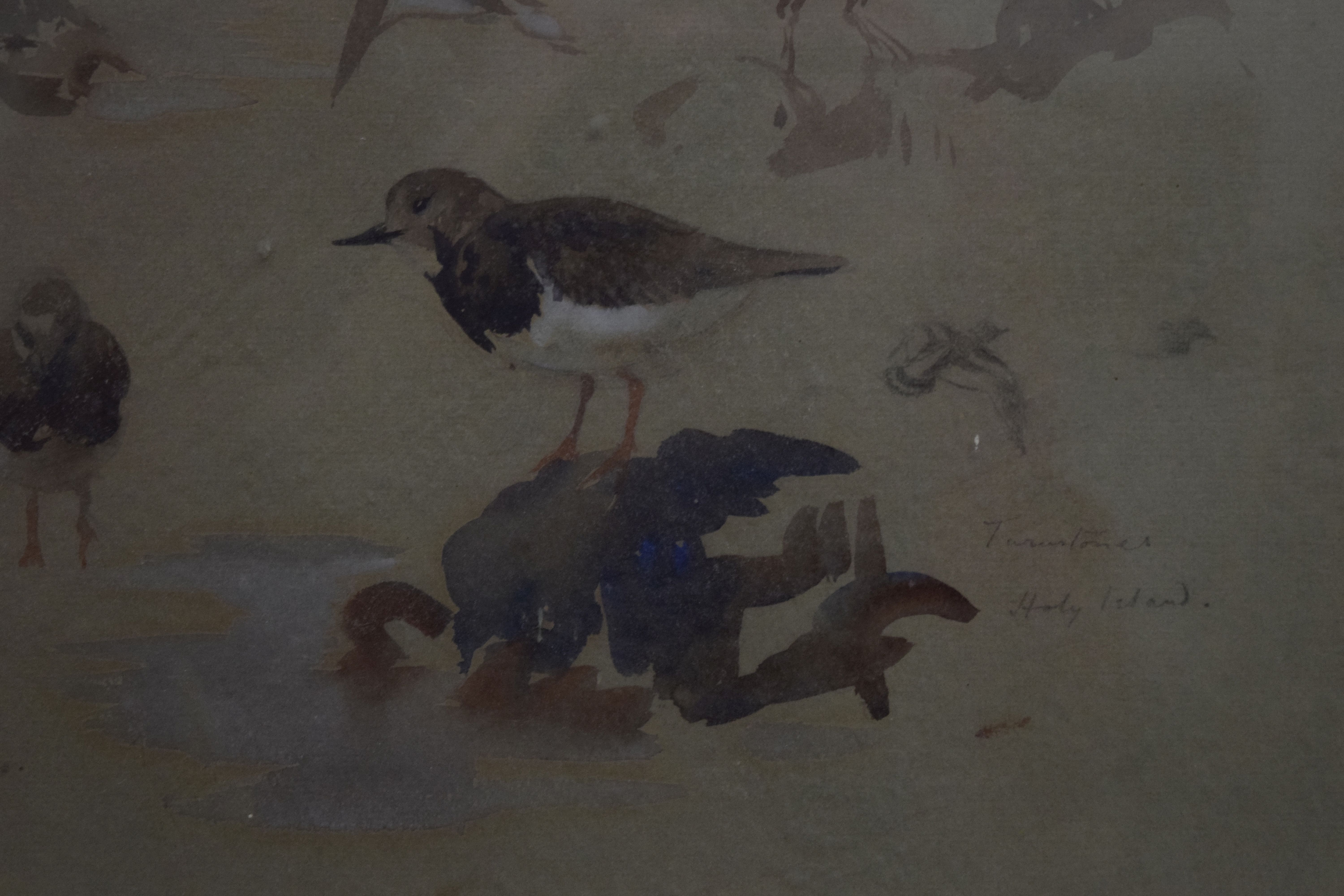 PATRICK PHILLIPS, Turnstones Holy Island 1927, watercolour, signed, dated and inscribed in pencil, - Image 2 of 6