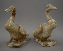 A pair of painted carved wooden models of ducks. 28.5 cm high.