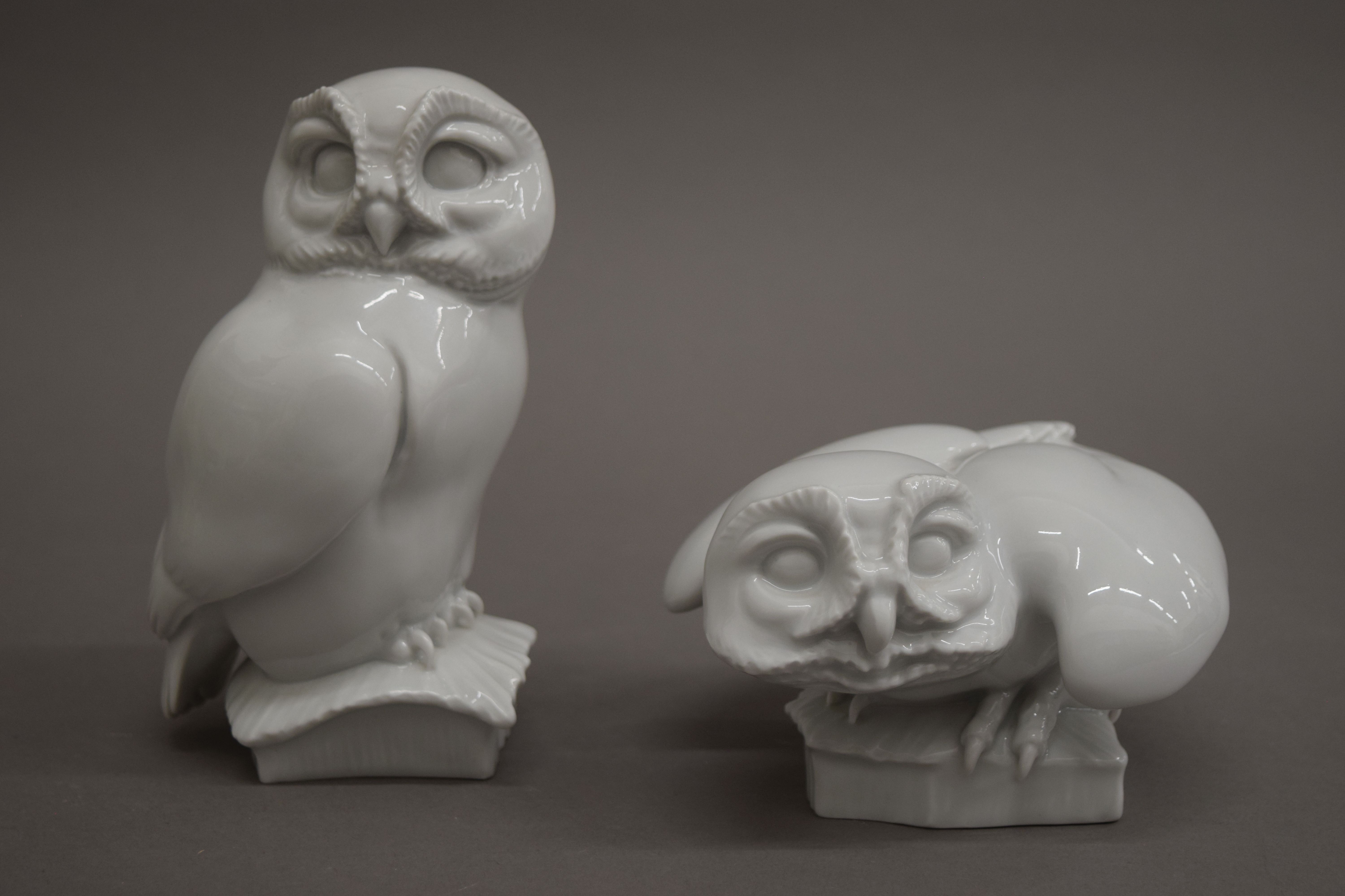Two Meissen blanc de chine models of owls. The largest 15 cm high.