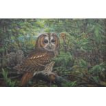 GEORGE F MILLER, Owls, oils on board, a pair, signed and dated 1974, each framed. Each 75 x 49 cm.