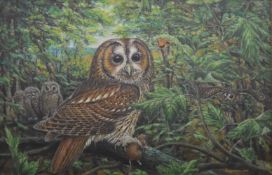 GEORGE F MILLER, Owls, oils on board, a pair, signed and dated 1974, each framed. Each 75 x 49 cm.